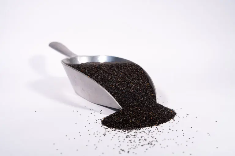 Amaranth schwarz auf Schaufel, Symbol für Abfüllung und Handhabung