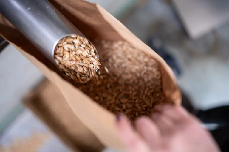 Dinkelspelzen fallen aus einem Edelstahlrohr in einen Papiersack.