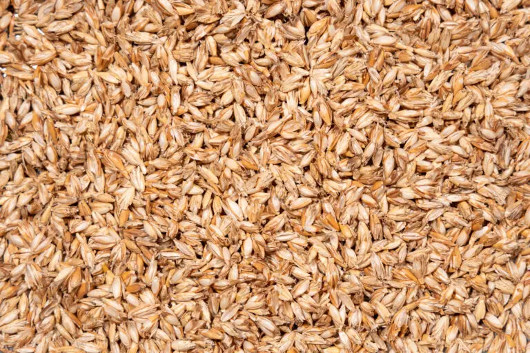 Dinkelspelzen im Detail als Naturfüllstoff für Kissen und Auflagen