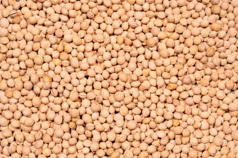 Kirschsteine im Detail als Wärmespeicherfüllstoff für Kissen