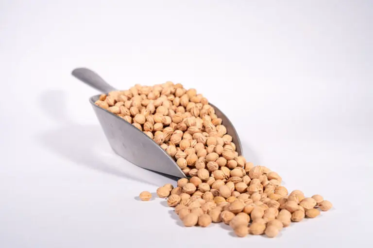 Kirschsteine auf einer Schaufel, Symbol für Abfüllung