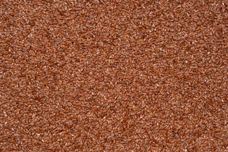 Leinsaat im Detail als Spezialfüllstoff für Kissen und Wellnessprodukte