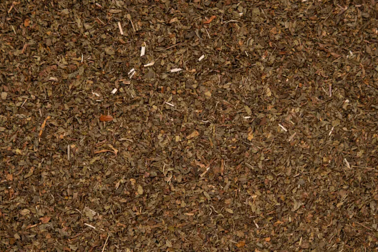 Spearmintblätter im Detail als mild-minzige Duftkomponente