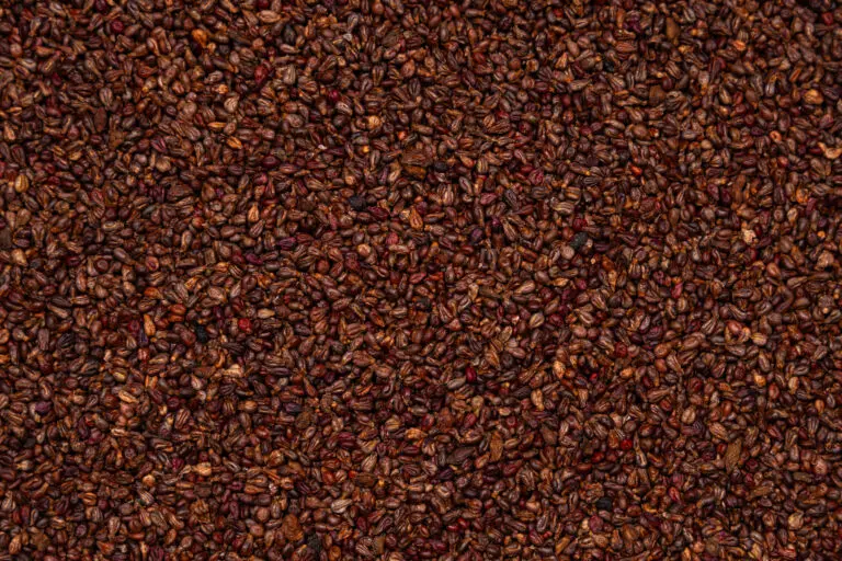 Traubenkerne im Detail als feinkörniger Wärmefüllstoff