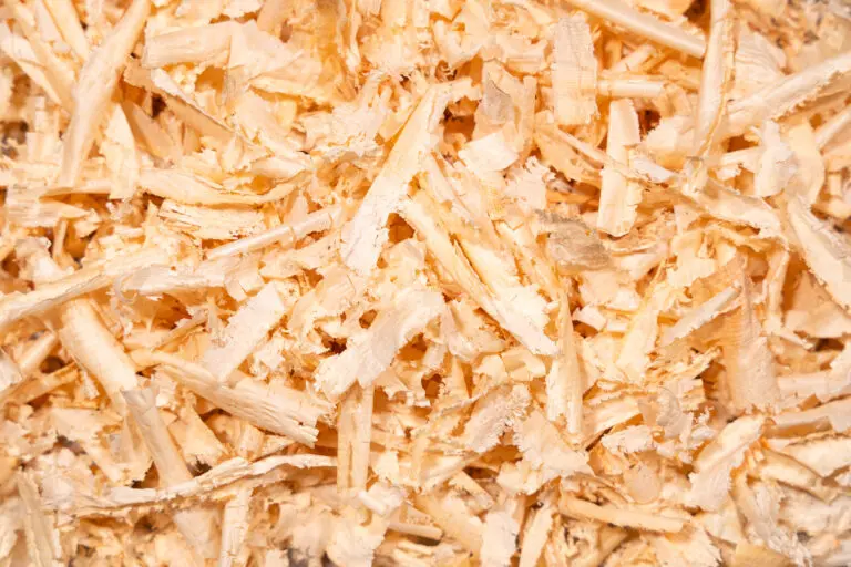 Zirbenholz-Späne im Detail als Spezialfüllstoff für Duft- und Wellnesskissen